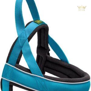 42-53 CM. Petnešos šunims Hunter