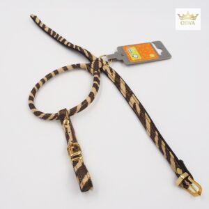 50/11 Petnešos Hunter