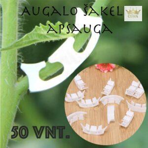 Augalo šakelių laikikliai 50 vnt.