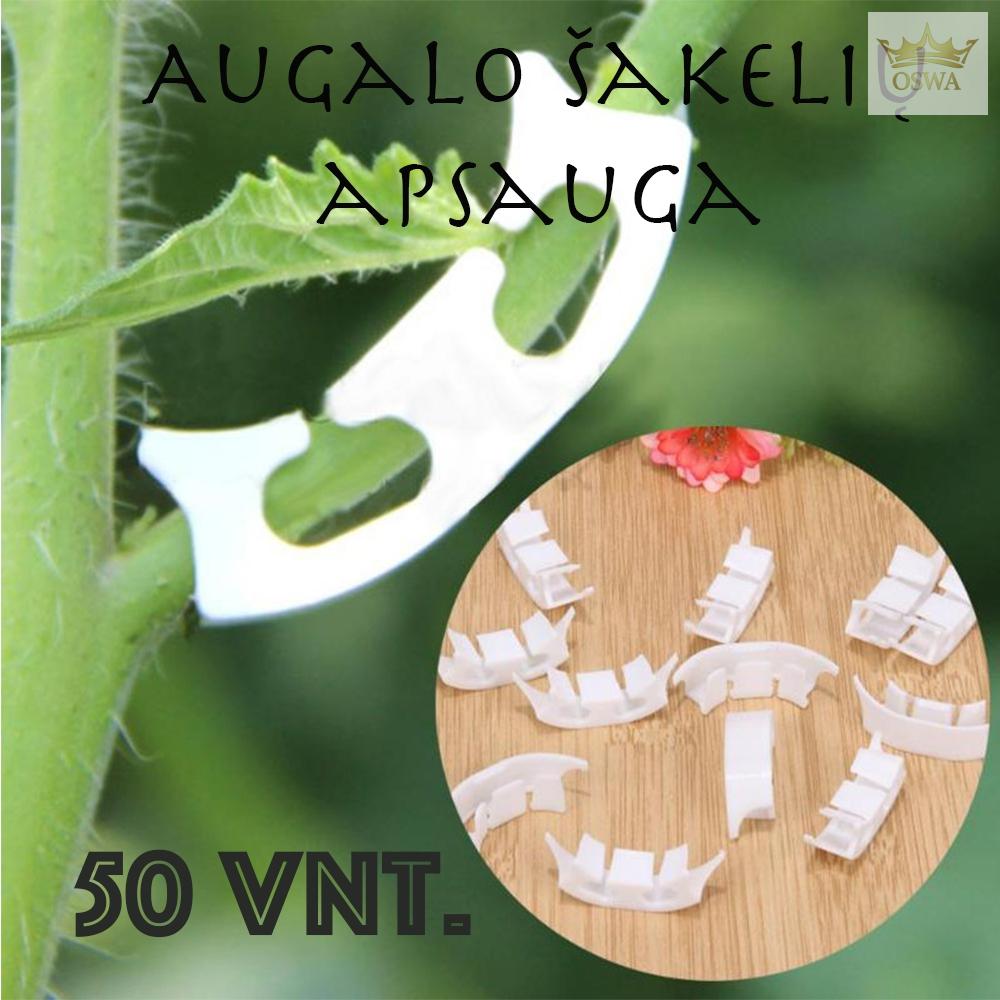 Augalo šakelių laikikliai 50 vnt.