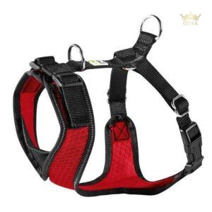 M Petnešos šunims Hunter H92726