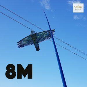 Kotas 8M aitvarui