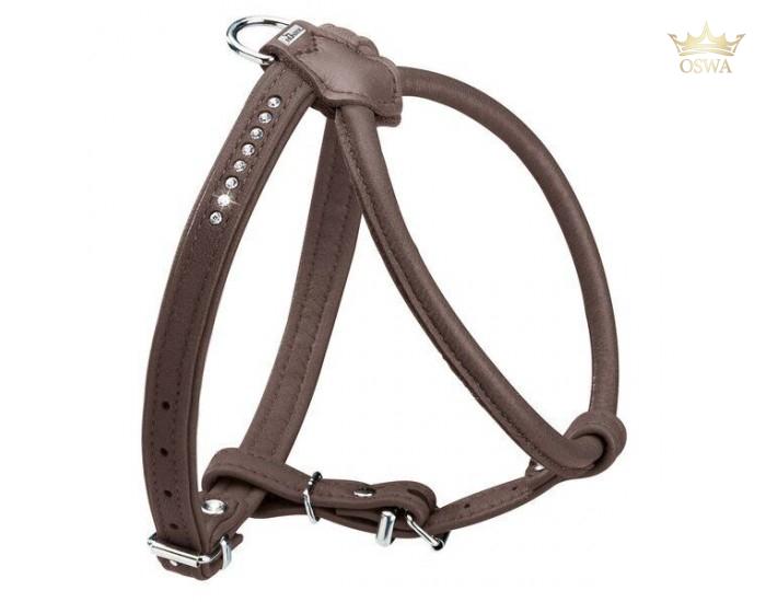 30CM. Petnešos šunims Hunter - Image 2