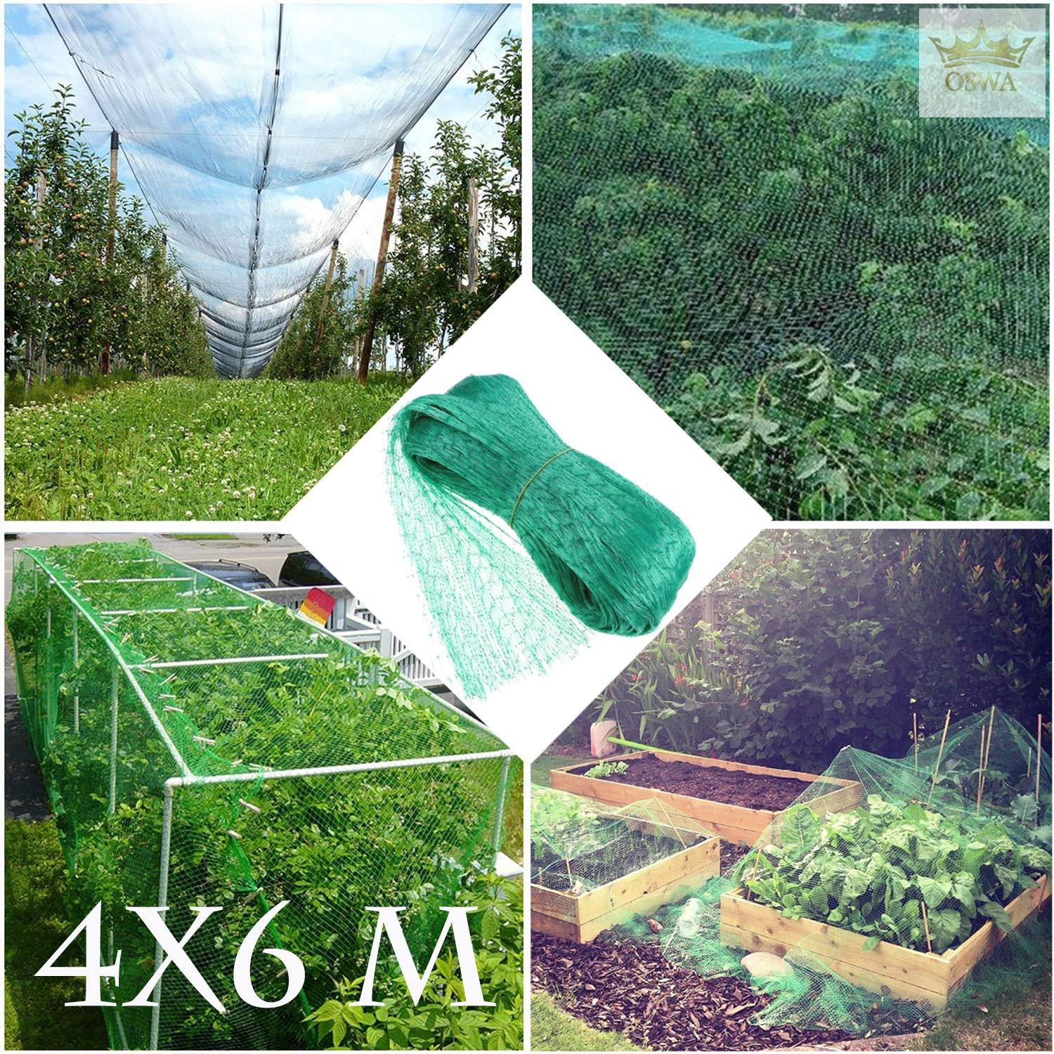 Apsauginis tinklas nuo paukščių, 4 x 6 m - Image 2