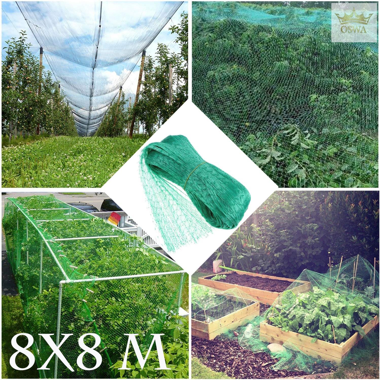 Apsauginis Tinklas Nuo Paukščių, 8 X 8 M - Image 2