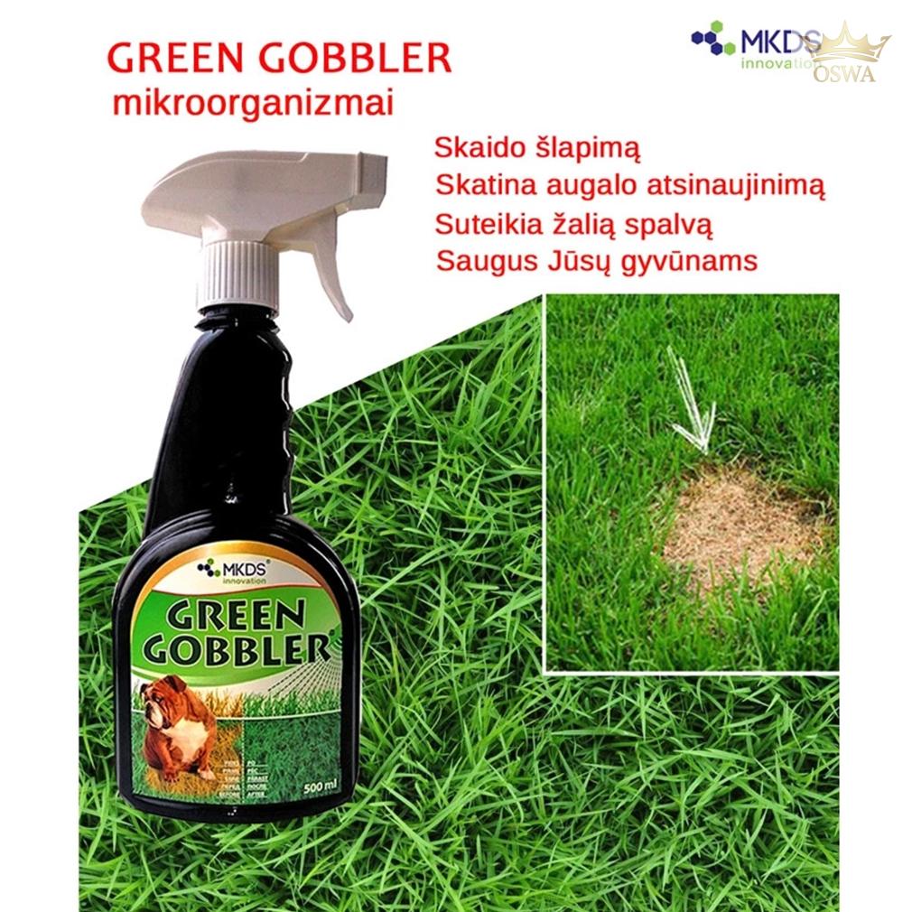 Green Gobbler mikroorganizmai vejoms nuo augintinių šlapimo, 500 ml - Image 3