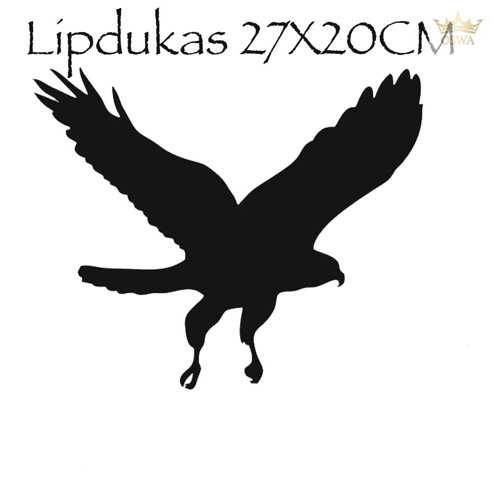 Lipdukas Apsaugai Nuo Paukščių Atsitrenkimo Į Langus - Image 5