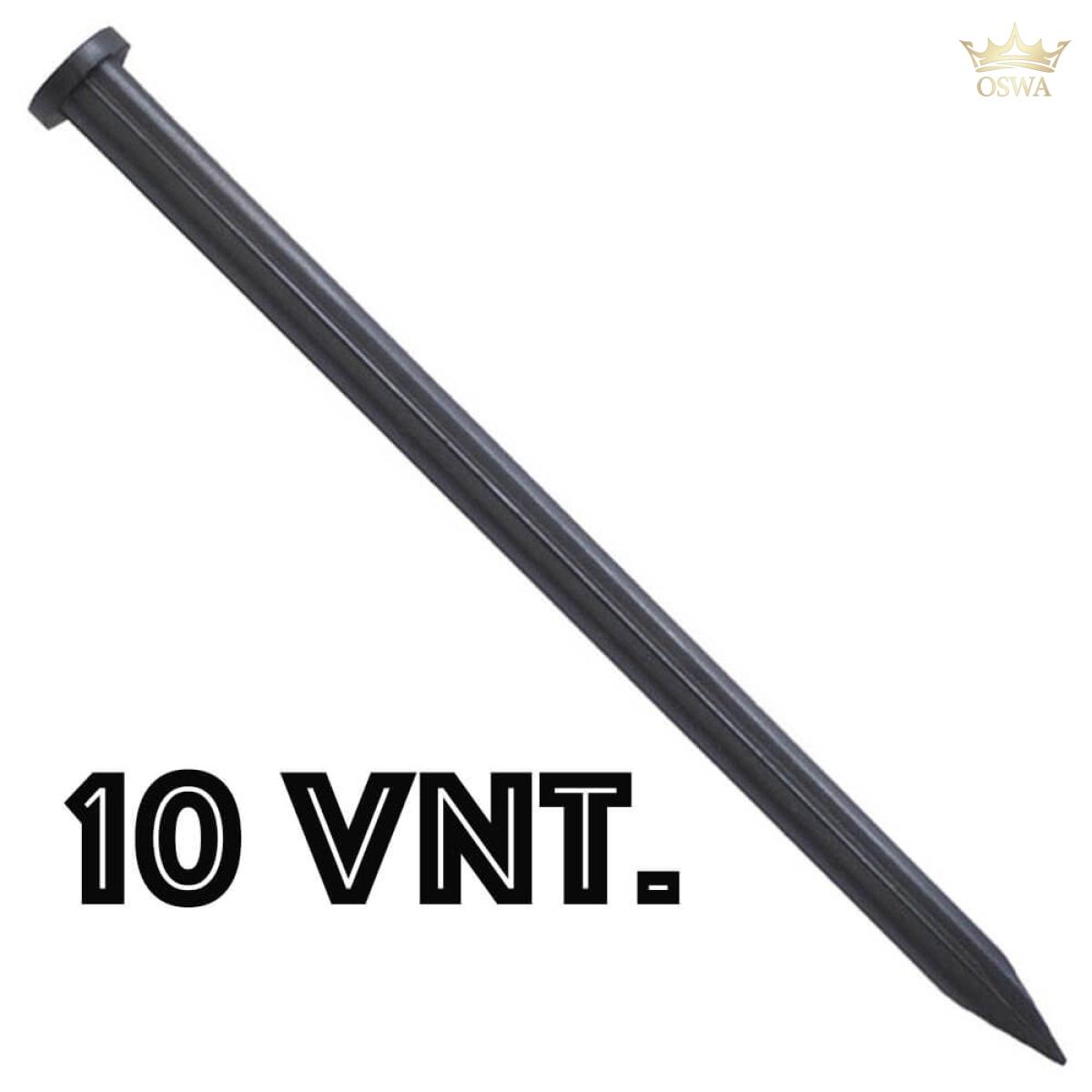 Plastikinės vinys (10 vnt.) 26 cm - Image 2